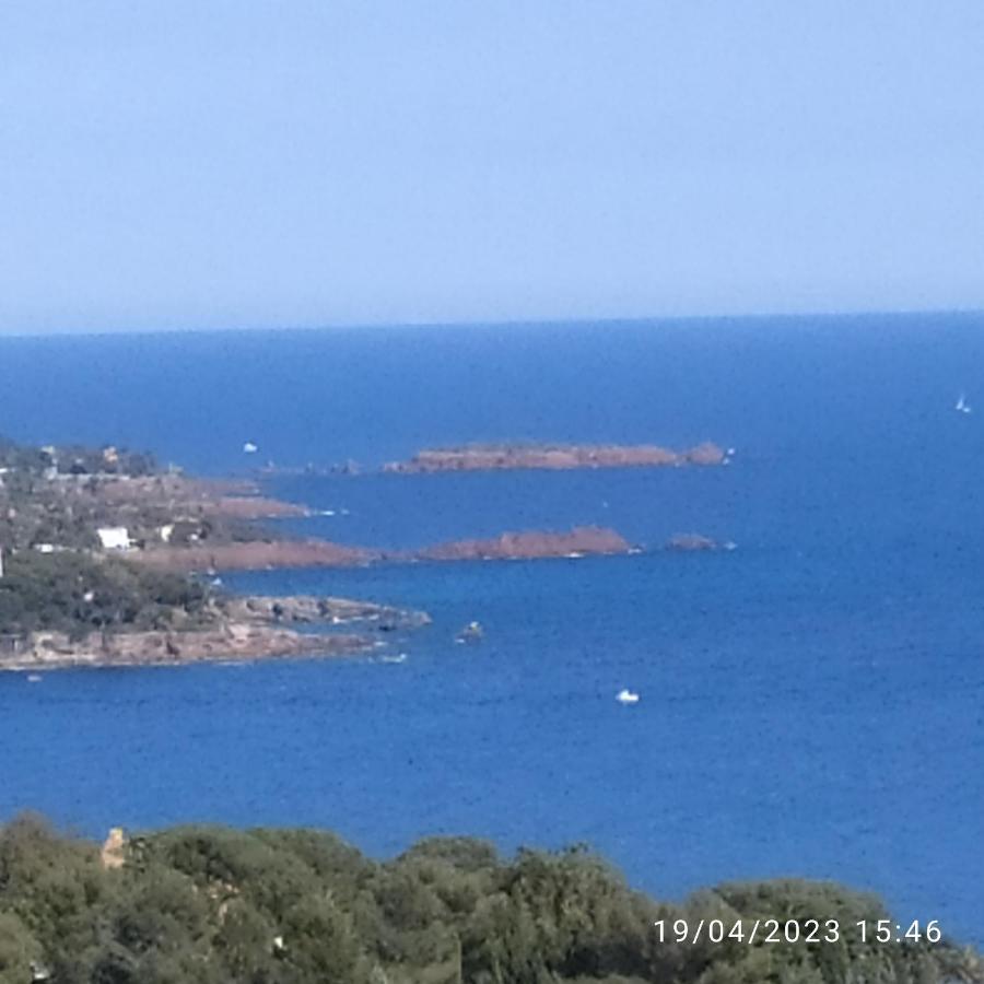 Studio 4P Vue Mer Calme Cap Esterel Saint-Raphaël Eksteriør billede