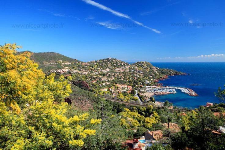 Studio 4P Vue Mer Calme Cap Esterel Saint-Raphaël Eksteriør billede